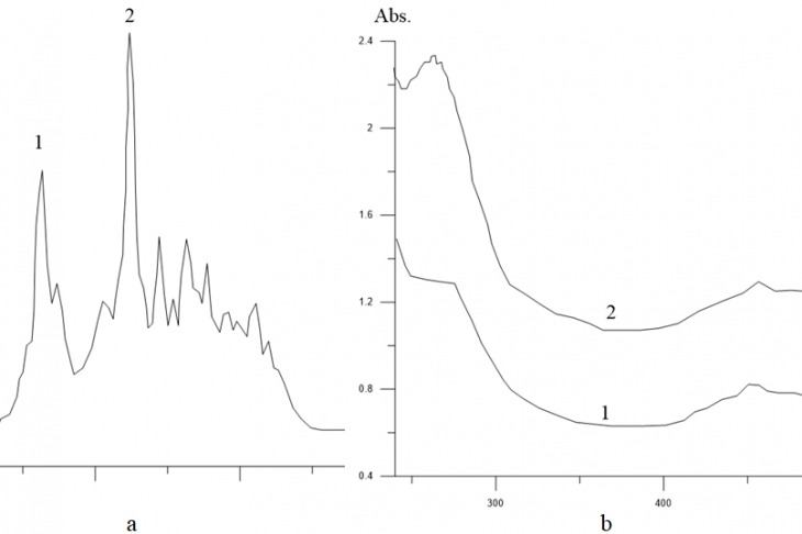 Figure 1. (a) chromatogram, (b) absorption spectrum of the 1st and 2nd fractions