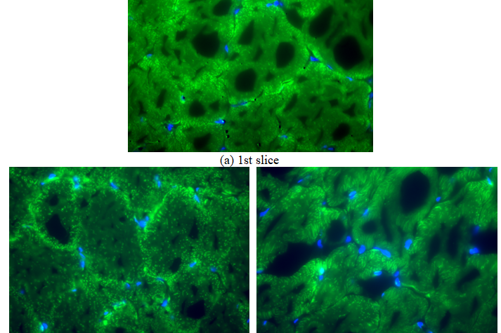 Figure 4. Combined frames: