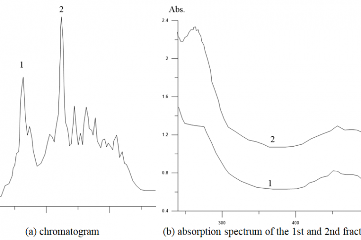 Figure 1. Chromatogram and absorption spectrum