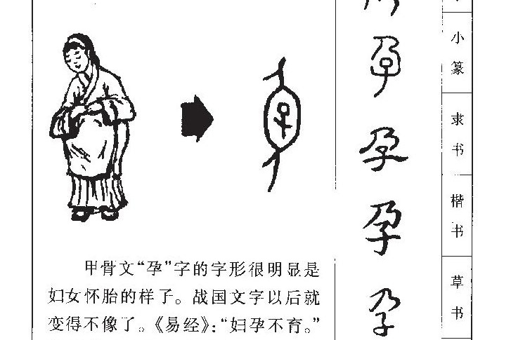 Figure 3. The Chinese character “pregnancy”