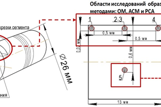 Рис. 3. Схема исследования образцов методами ОМ, АСМ и РСА: 1 — точка сканирования (левый, верхний край шлифа, упрочненный слой), 2, 3 — точки сканирования (середина шлифа, упрочненный слой); 4 — точка сканирования (правый, верхний край шлифа, упрочненный слой); 5 — точка сканирования (центр шлифа, неупрочненный слой)