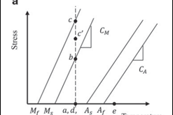 the thermo-mechanical behavior