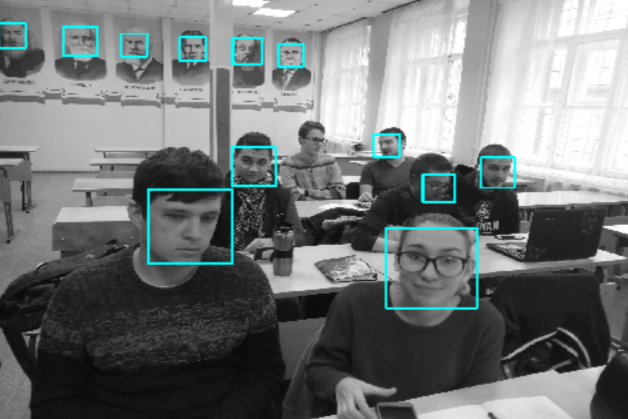 Fig. 1. The result of face detection on the raw image