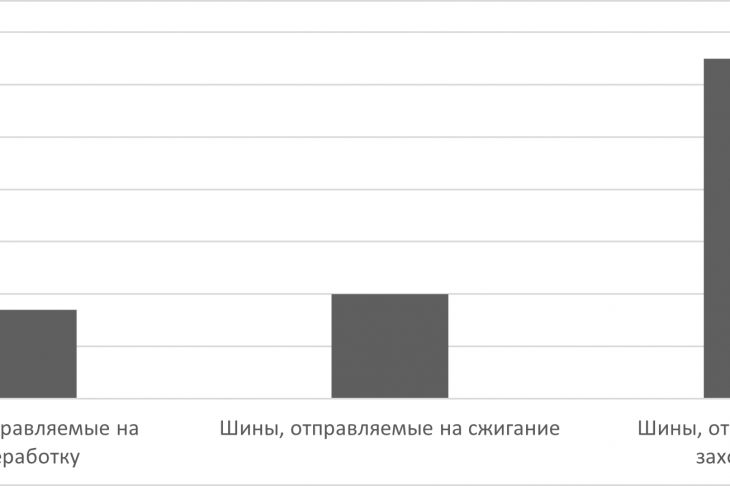 Рис. 1. Состояние б/у шин в РФ за 2021 год, %