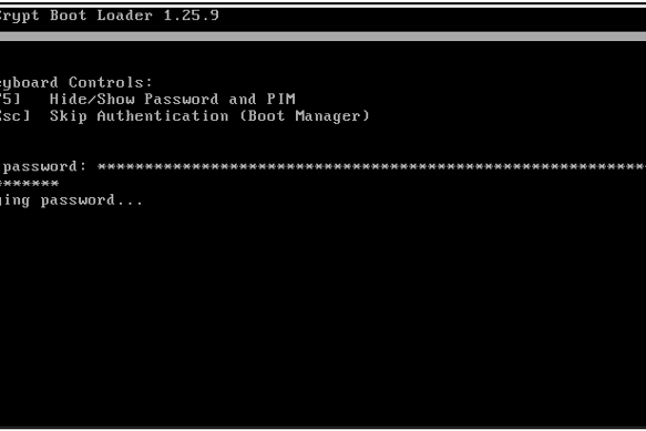 Рис. 2. Окно загрузки ОС при включении компьютера,  защищенного VeraCrypt