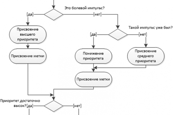 Рис. 1. Примерная схема работы механизма приоритезации в спинном мозге