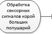 Рис. 2. Обобщенная схема работы обработки сенсорных сигналов корой больших полушарий