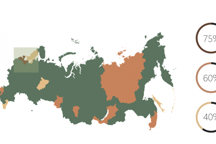 Рис. 1. Процентное количество однокомнатных квартир в новостройках России