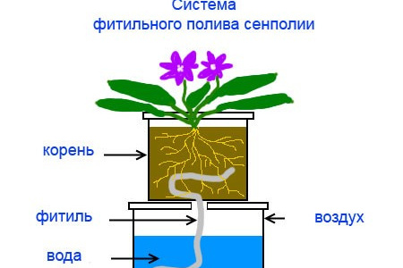 Рис. 1. Фитильная система