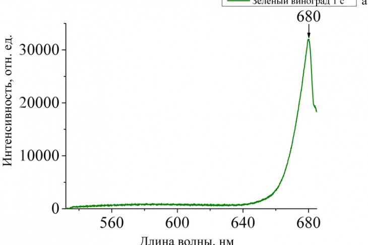 Рис. 1. Спектр фотолюминесценции плода винограда в зависимости от длины волны 