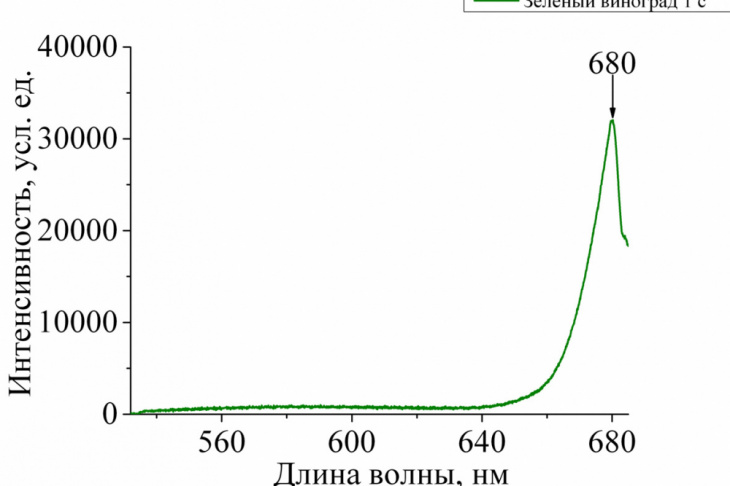 Рис. 1. Спектр фотолюминесценции плода винограда в зависимости от длины волны