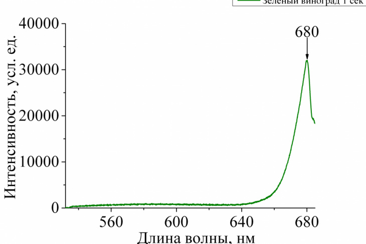 Рис. 1. Спектр фотолюминесценции плода винограда в зависимости от длины волны