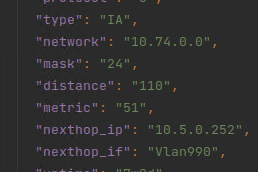 Рисунок 3. Преобразованная в JSON запись из таблицы маршрутизации