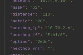 Рисунок 5. Преобразованная в JSON запись из таблицы маршрутизации