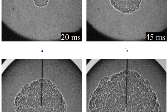 Fig. 2. Schlieren flame front images in the hydrogen-air mixture with the 10 vol.% hydrogen content: а — 20 ms; b — 45 ms; c — 70 ms; d — 90 ms