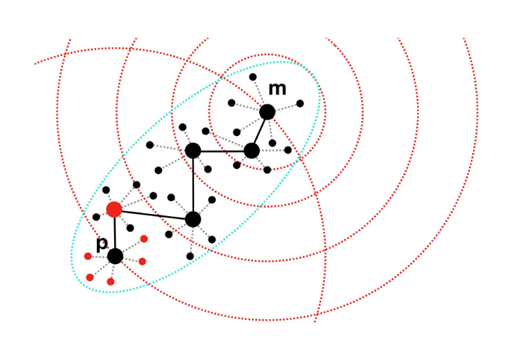 Fig. 1. Candidates for edge selection in NSG