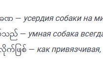 Рис. 39. Абстрактные понятия с зоонимом собака