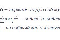 Рис. 40. Нейтральные понятия с зоонимом собака